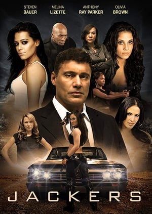 Jackers 2010 Dual Audio Hindi 300MB
