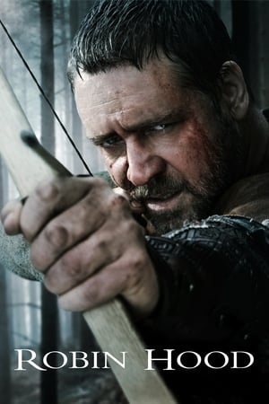 Robin Hood 2010 Dual Audio Hindi 390MB